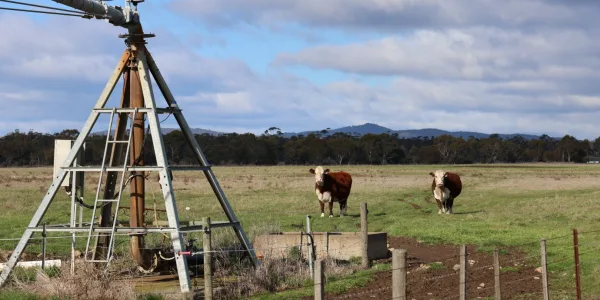 Northern Midlands irrigation region 6