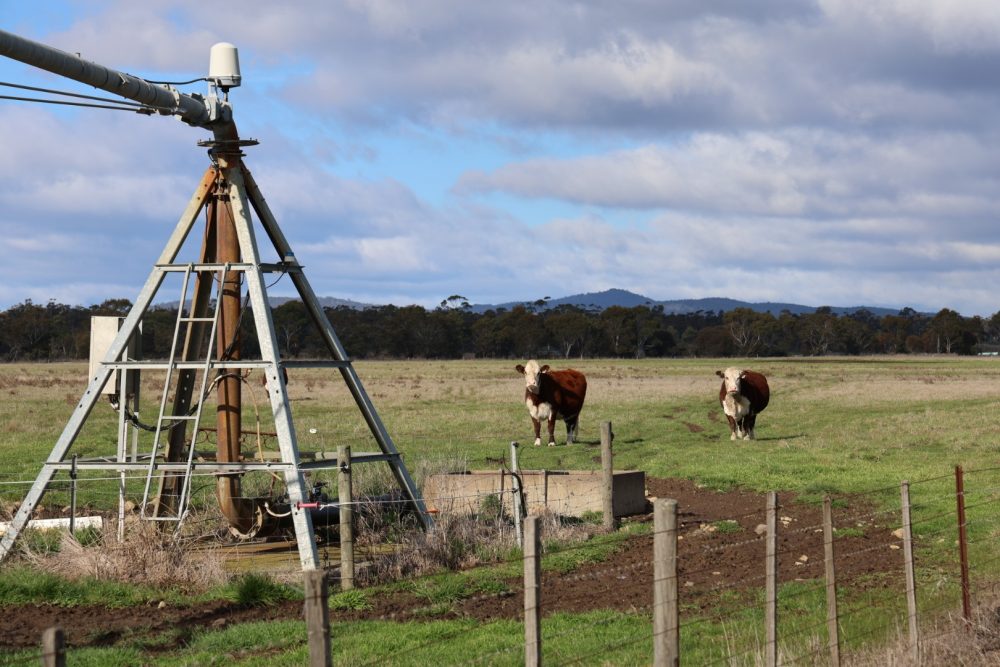 Northern Midlands irrigation region 6